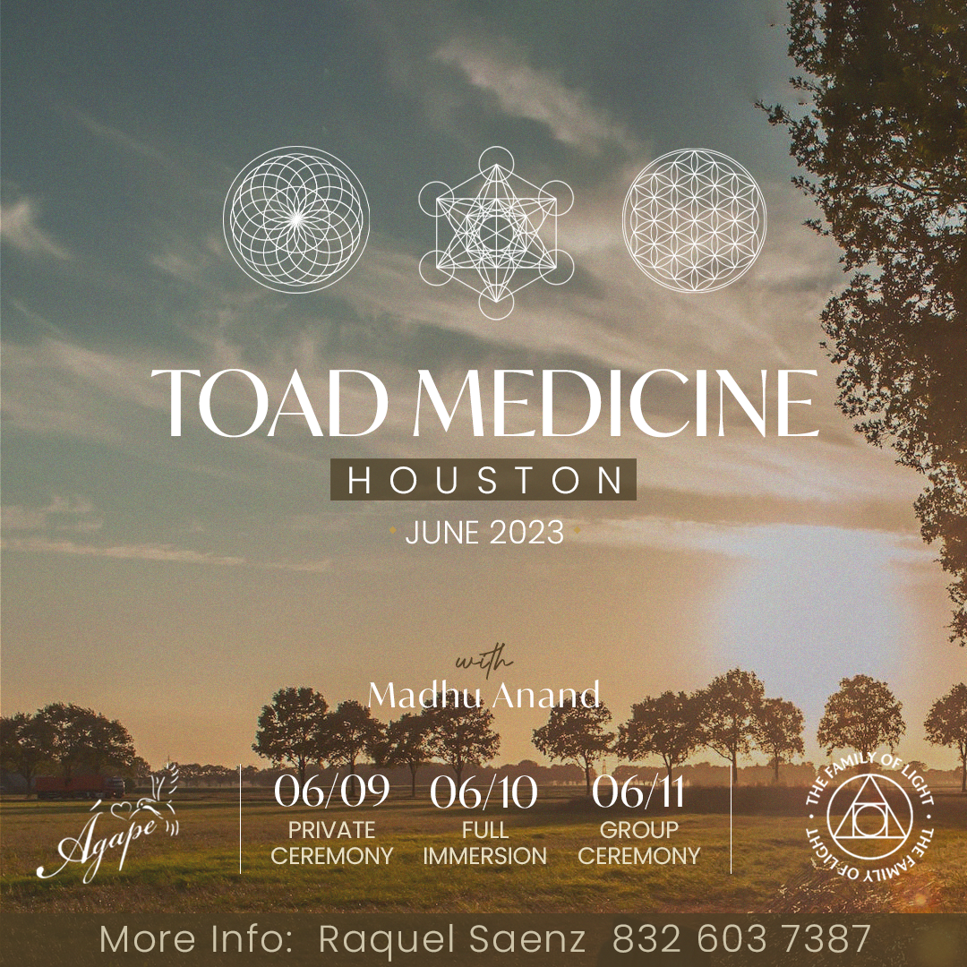 TOAD_MEDICINE_BUFO